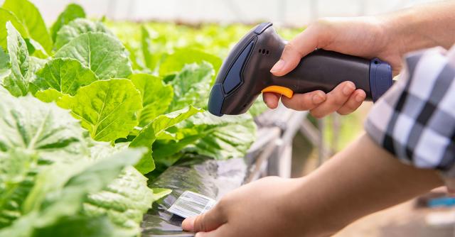 Growing crops, plants and profits: how Agriculture and Horticulture are leveraging eCommerce